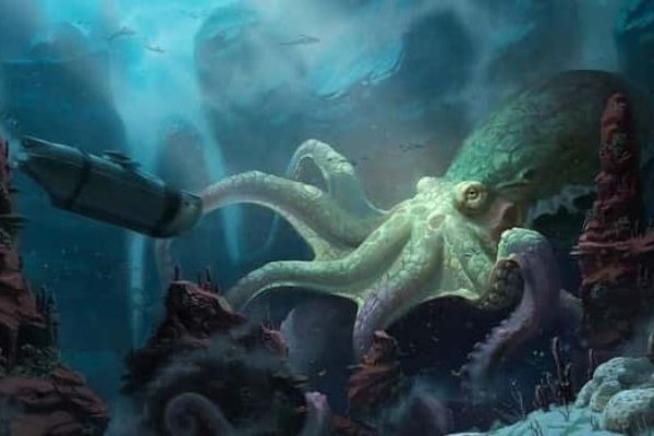 Kraken рынок