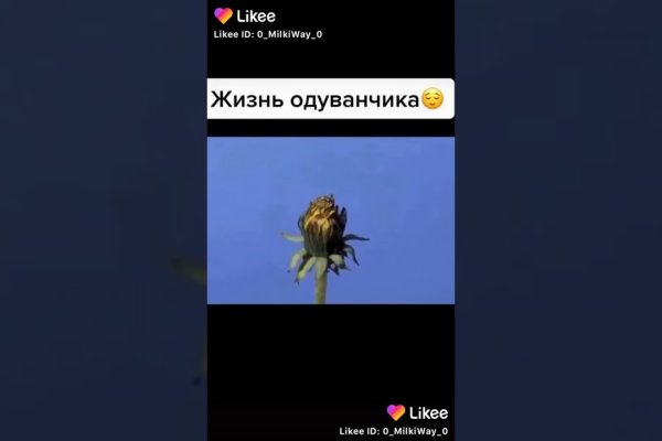 Восстановить доступ к кракену